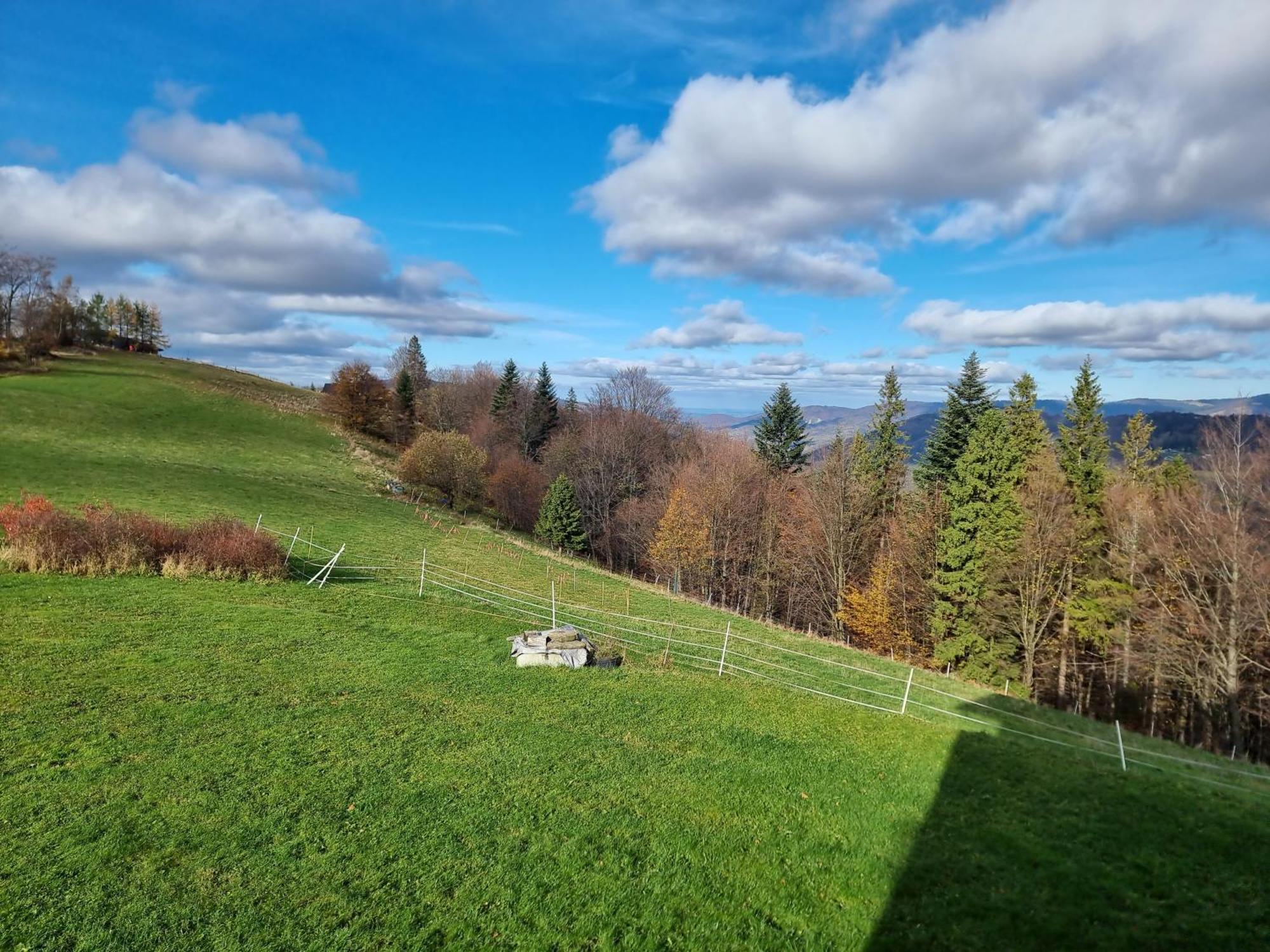 Swoboda Na Szczycie Gory Bed & Breakfast Brenna Exterior photo